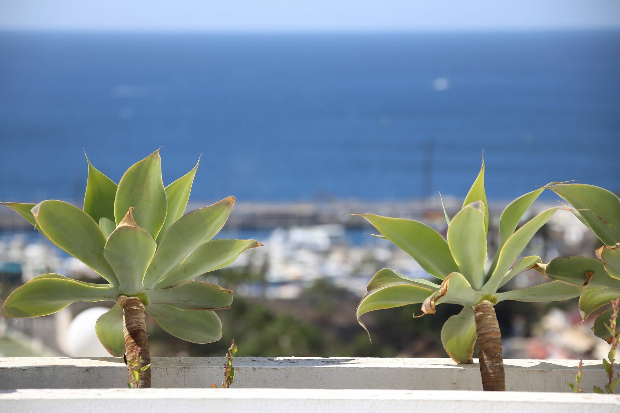 Apartamentos Halley Puerto Rico  Eksteriør billede