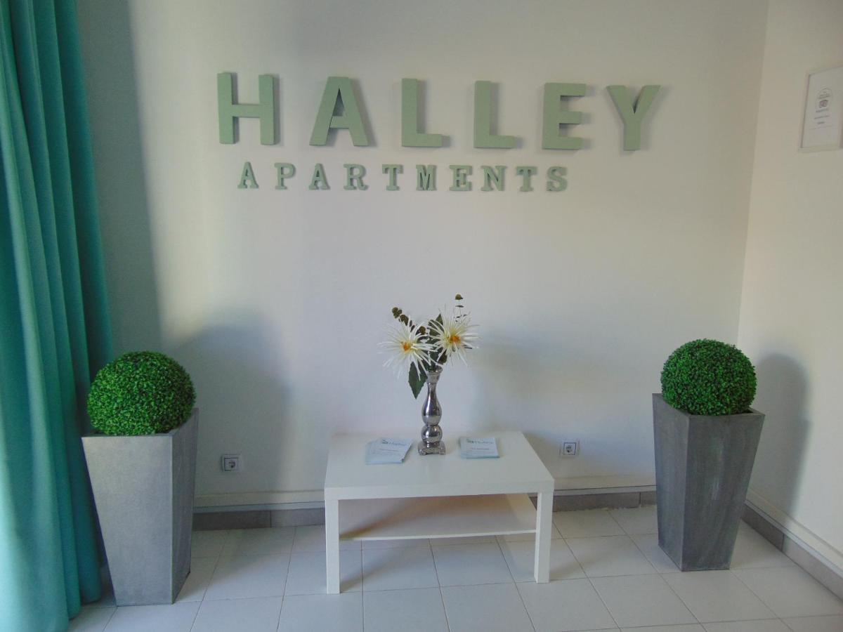 Apartamentos Halley Puerto Rico  Eksteriør billede